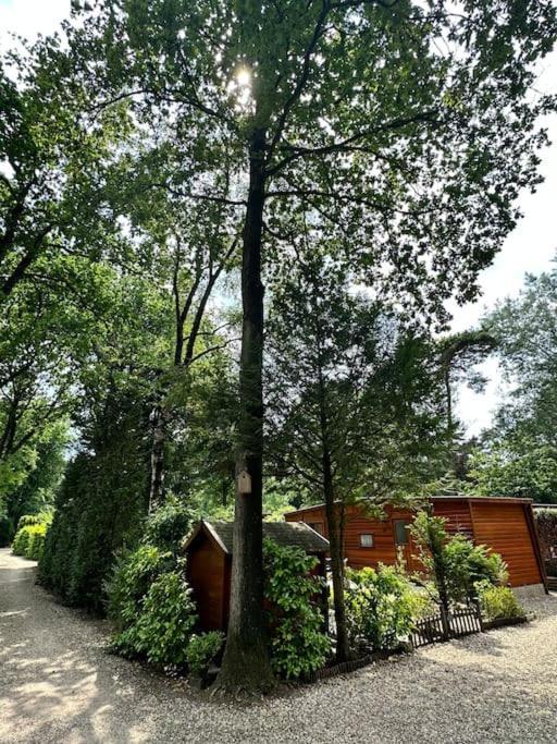 Houten Chalet Op 5 Sterren Park Met Zwembad إرميلو المظهر الخارجي الصورة